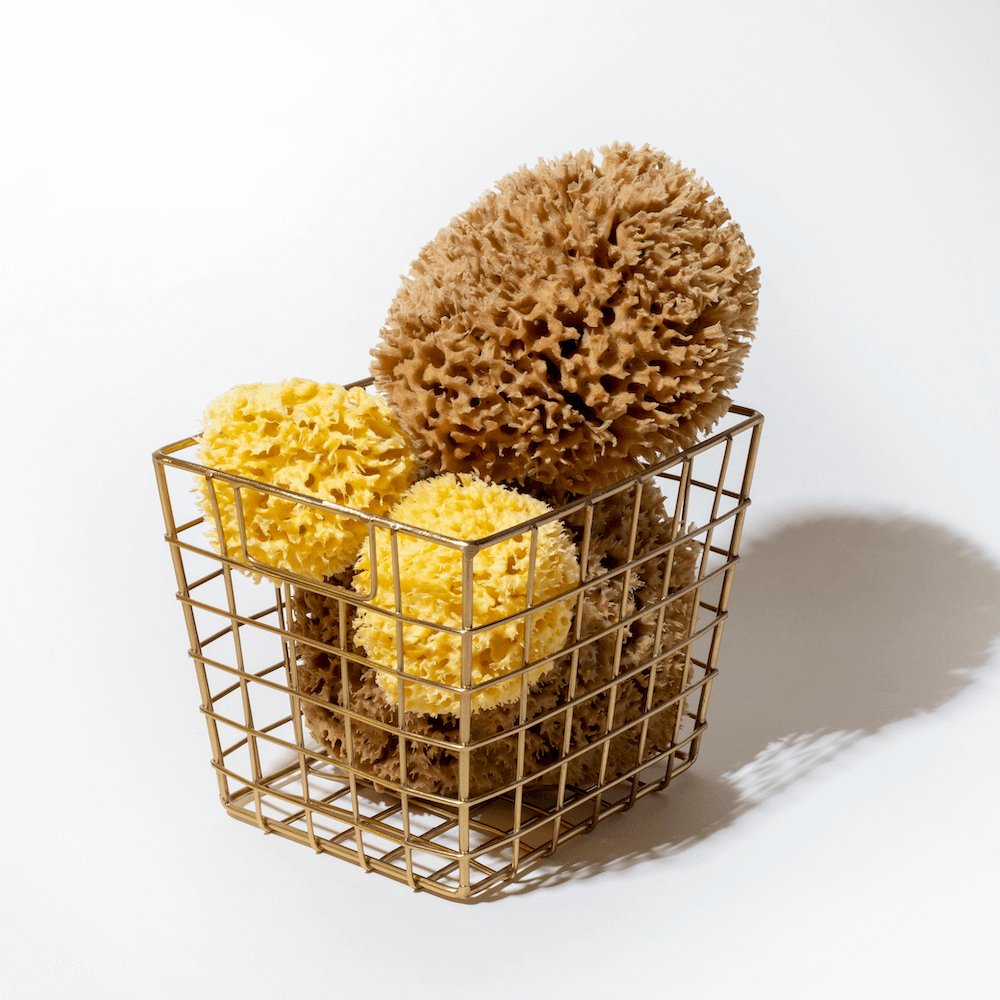 Premium Honeycomb Sponge