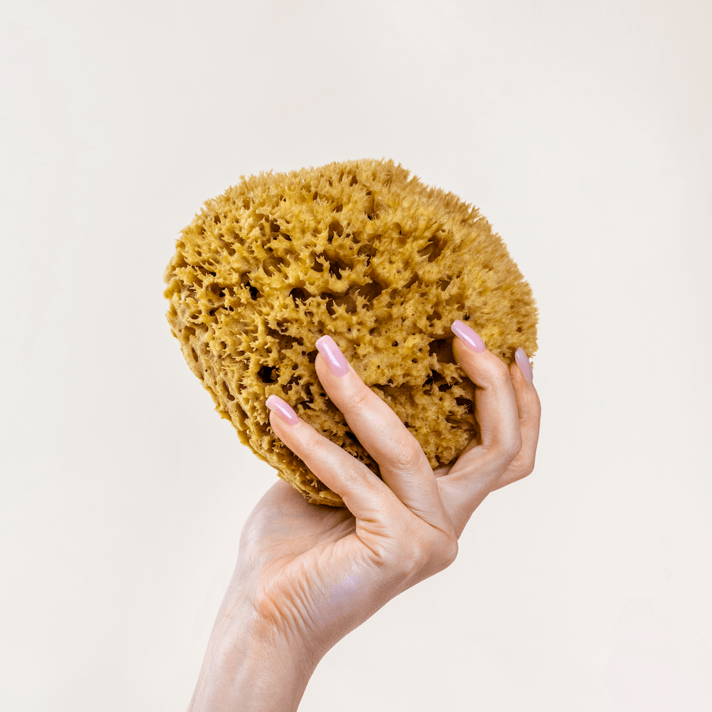 Premium Honeycomb Sponge